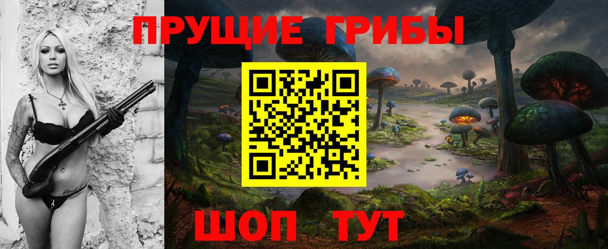 Галлюциногенные грибы прущие грибы  Псилоцибиновые грибы прущие грибы  Павлово  купить наркоту  Вход с VPN 